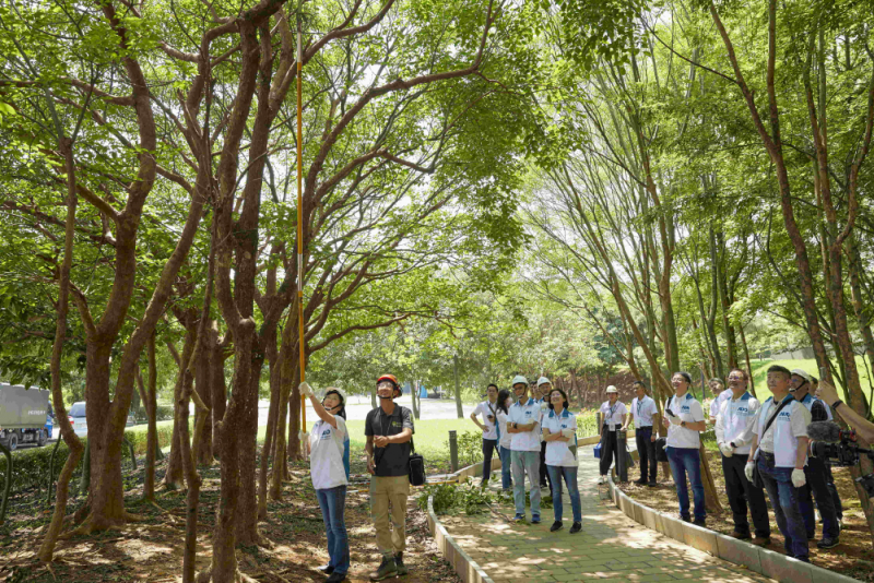 藝師教導大家認識樹木、檢查樹的健康狀況，學習修枝及碎枝覆土